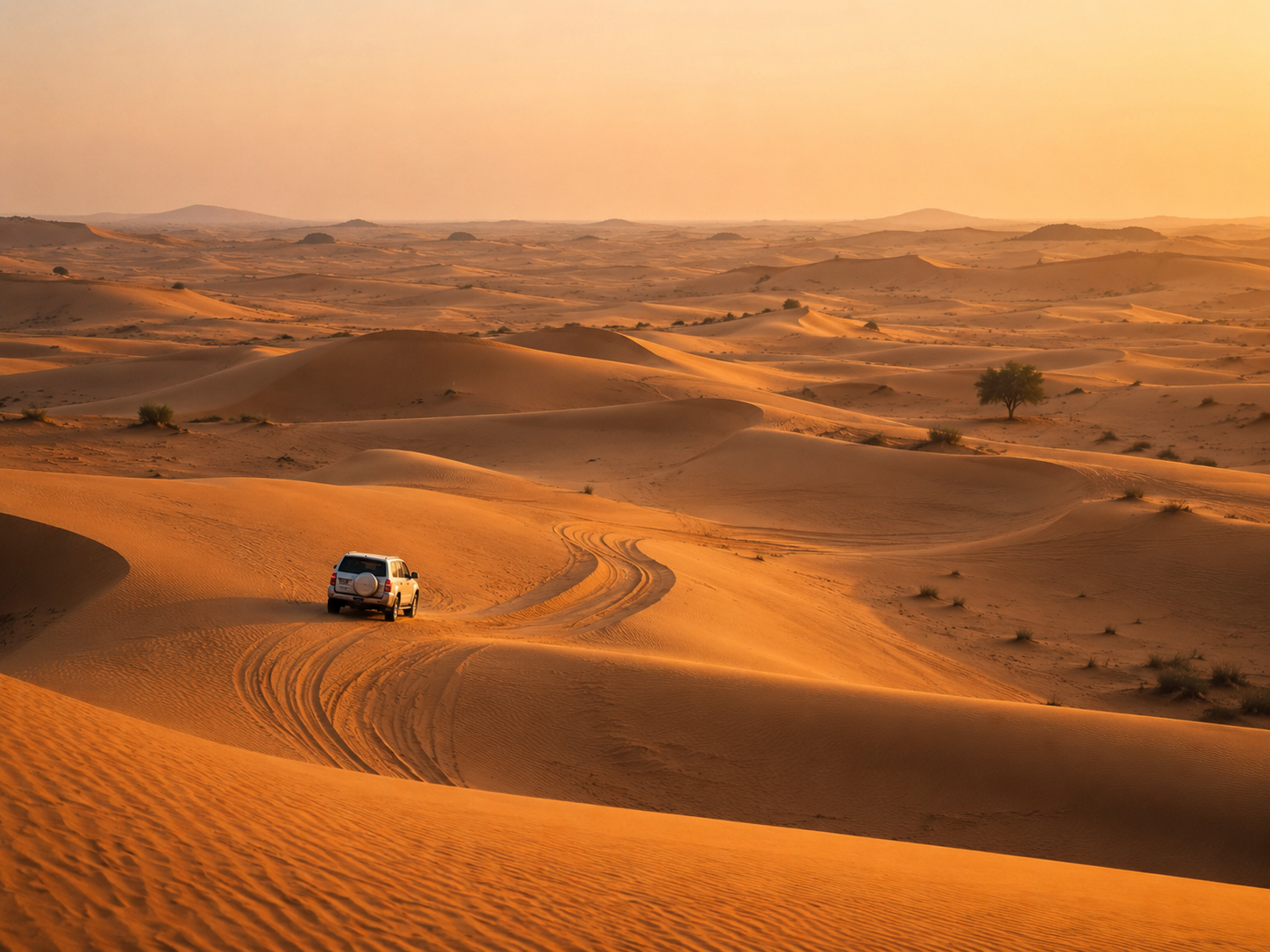 Dubai Desert Conservation Reserve